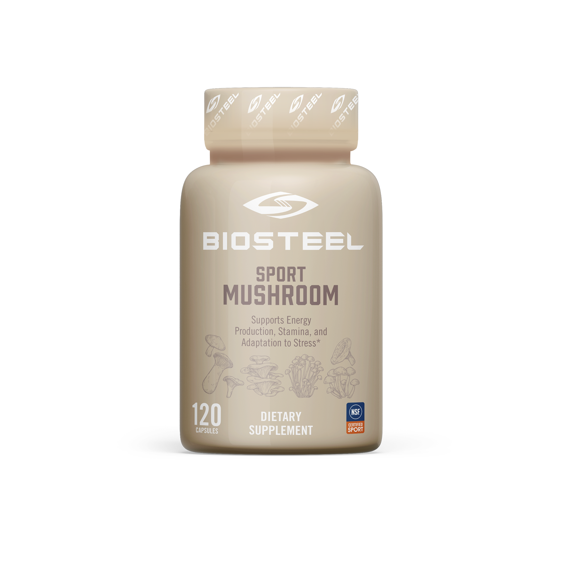 CHAMPIGNON SPORTIF