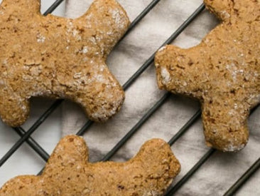 Gingerbread Protein Cookies