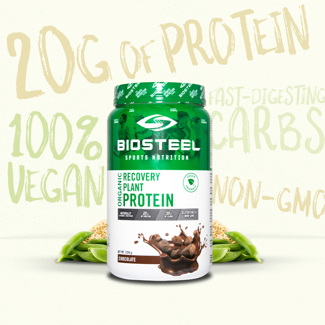 Plant-Based Protein : What Are Your Options?